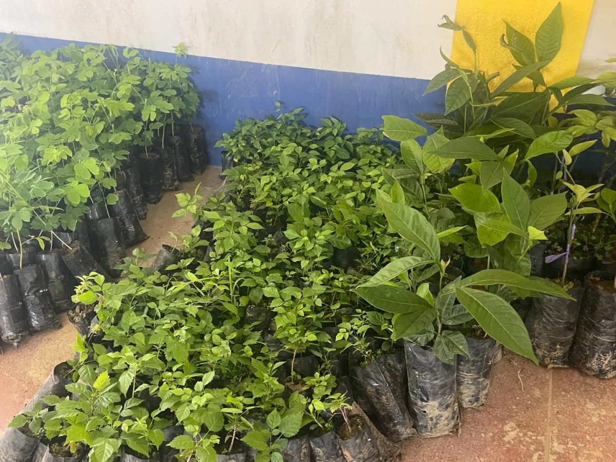 476081813_18024635591634532_4823862983367665475_n