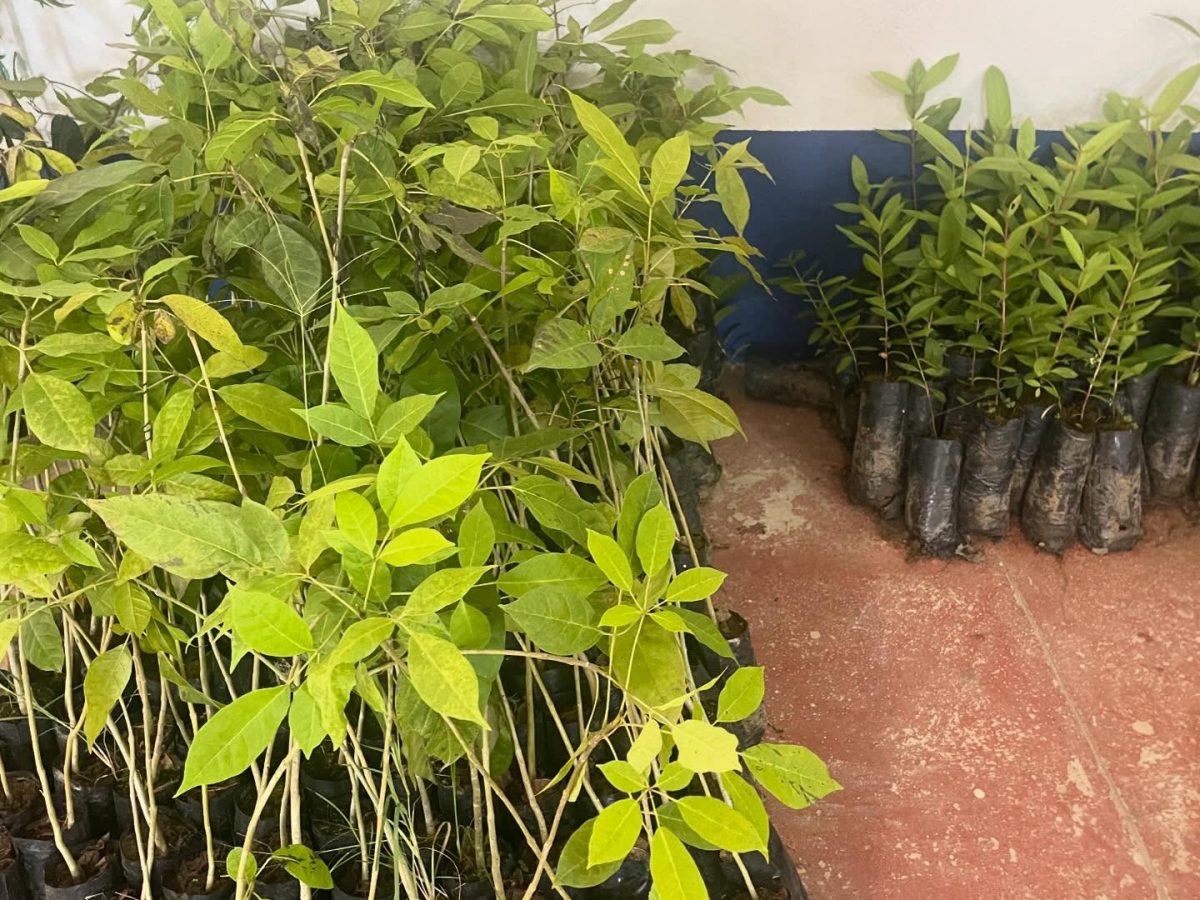 476435596_18024635582634532_4959544217318295692_n